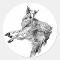 Élégance, imperturbable – Silken Windhound