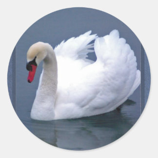 STICKER ROND ÉLÉGANCE SWAN