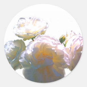 Sticker Rond Elégant blanc pêche orange roses