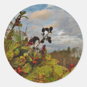 Sticker Rond Elegant Holly Christmas,