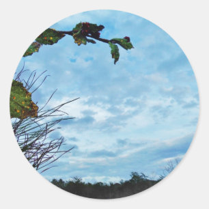 Sticker Rond Élégant Noël Holly, ciel bleu