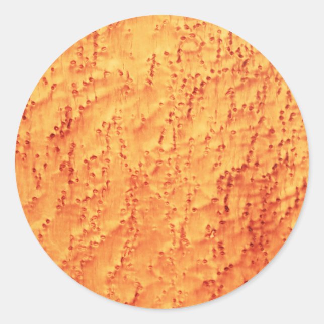 Sticker Rond Elégant Oiseau Maple Wood Grains Motifs (Devant)