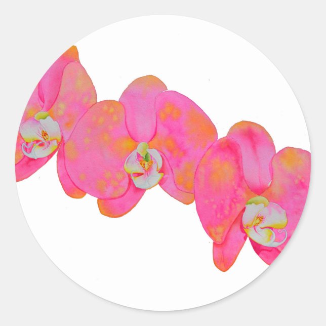 Sticker Rond Elégante aquarelle rose orchidées tropicale fleuri (Devant)