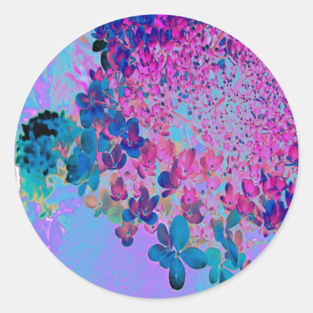 Sticker Rond Élégante Hydrangea Limelight Bleu foncé et Magenta (Devant)