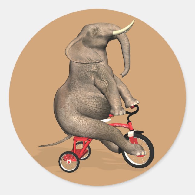Sticker Rond Eléphant Gentil À Tricycle (Devant)