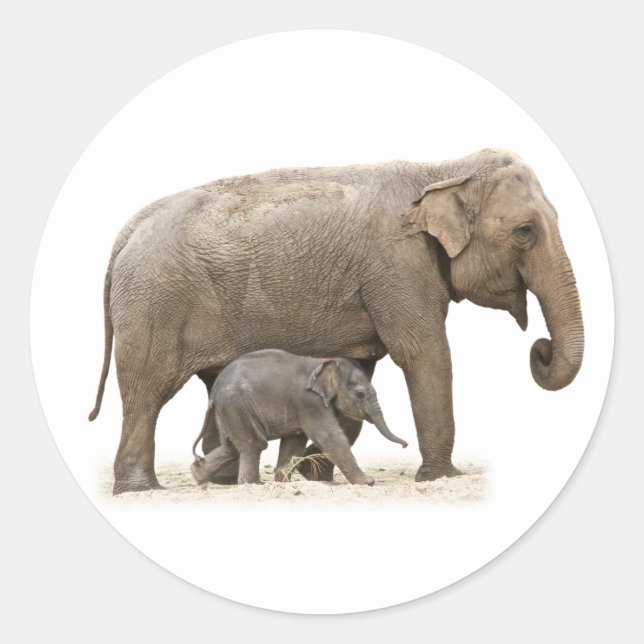 Sticker Rond Eléphant mère et bébé (Devant)
