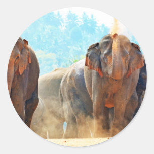 Sticker Rond Éléphants Animaux Safari Destin Paix Amour