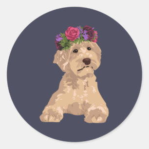 Sticker Rond Eli la couronne douce Labradoodle d'or de fleur