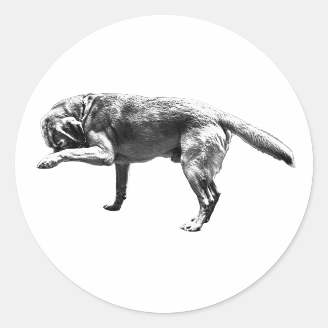 Sticker Rond Empreinte de patte joueur (Devant)
