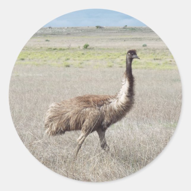 Sticker Rond emu stride (Devant)