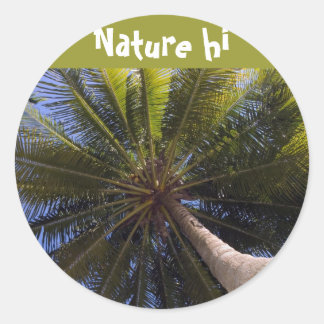 Sticker Rond en haut du cocotier