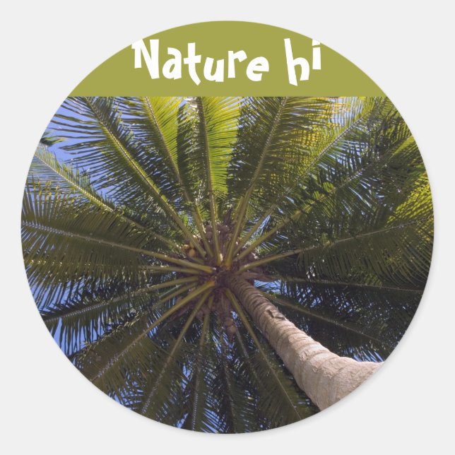 Sticker Rond en haut du cocotier (Devant)