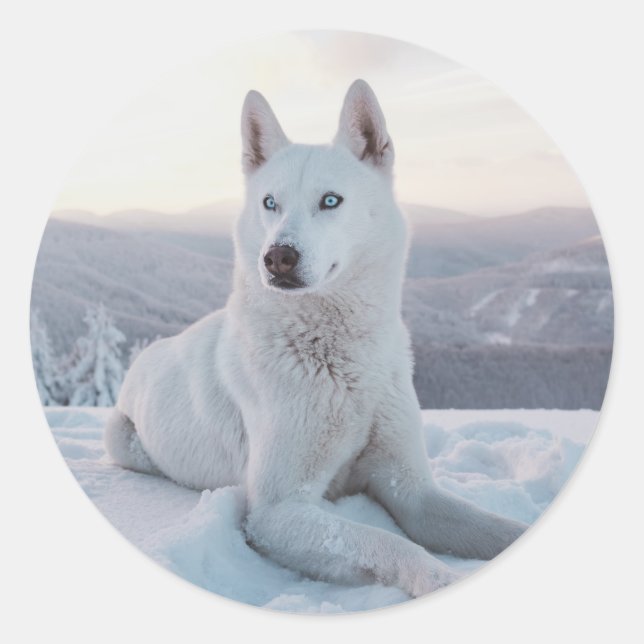 Sticker Rond Enchanter White Husky Dog dans la neige (Devant)