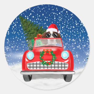 Sticker Rond English Springer Spaniel Chien Voiture Dans Neige