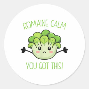 Sticker Rond Enseignant Tester Romaine Calme Vous Avez Ce