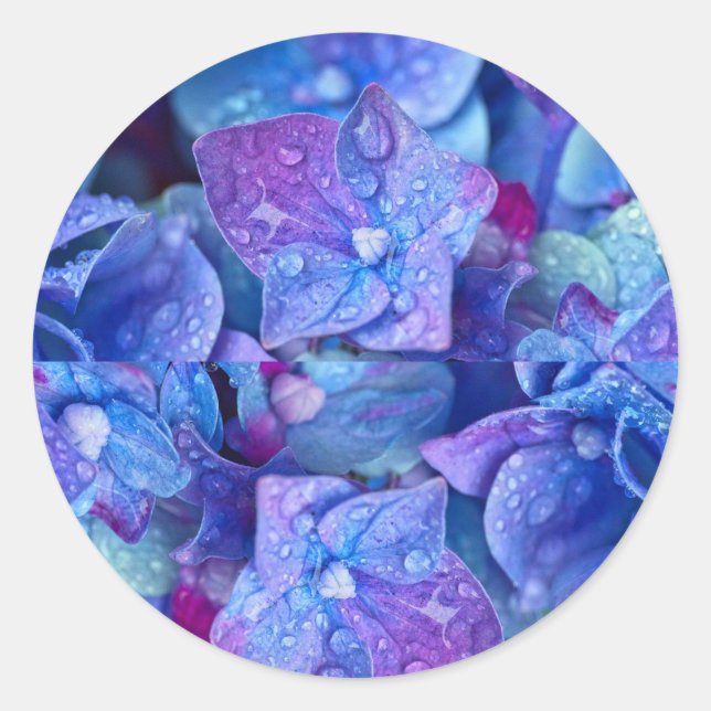 Sticker Rond enveloppe joints Hydrangea (Devant)