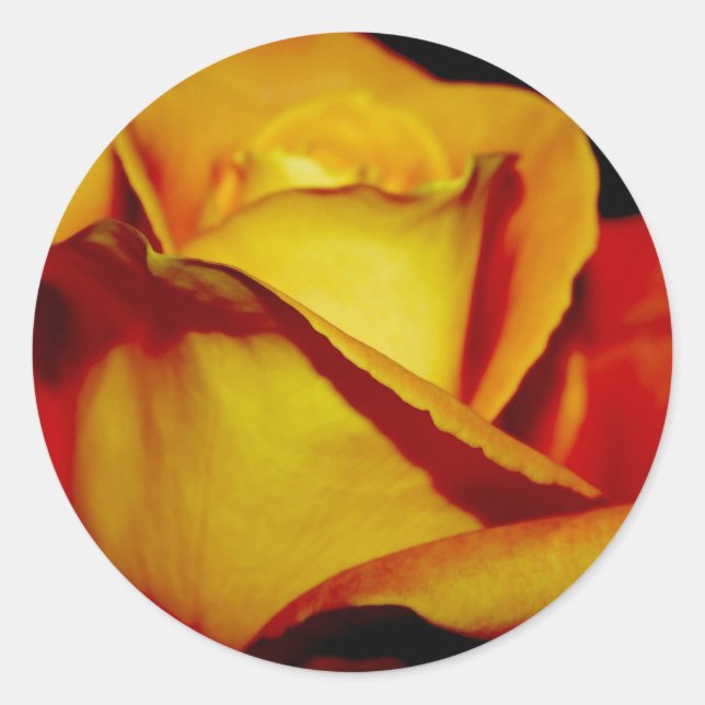 Sticker Rond Enveloppe Mariage de pêche élégante Phoques et aut (Devant)