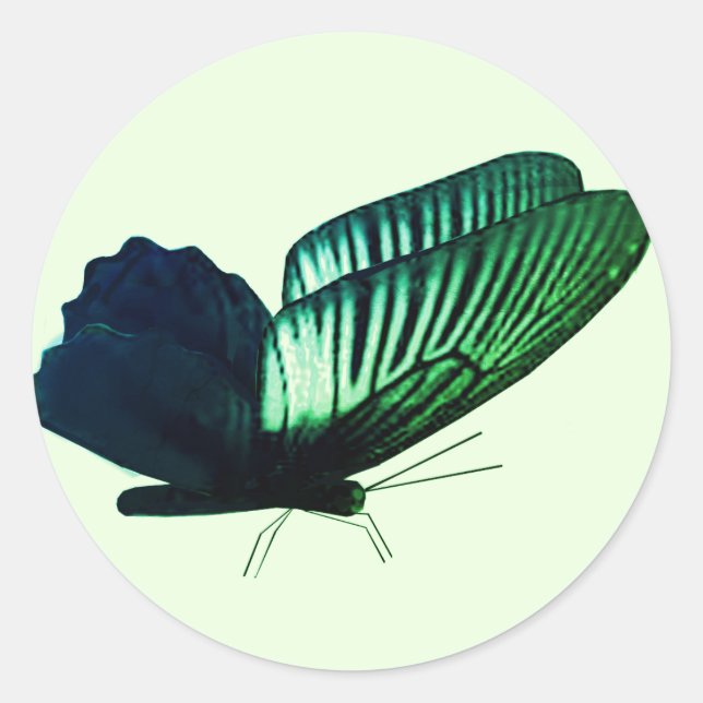 Sticker Rond Enveloppe Papillon vert (Devant)
