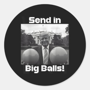 Sticker Rond Envoyer Dans Big, Président Trump Et Doge