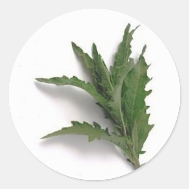 Sticker Rond Epazote (Devant)