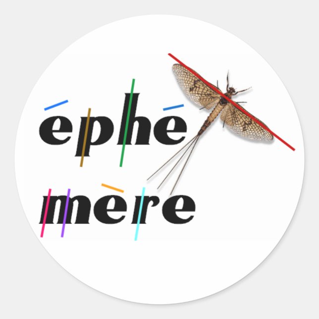 Sticker Rond éphémère instantané (Devant)