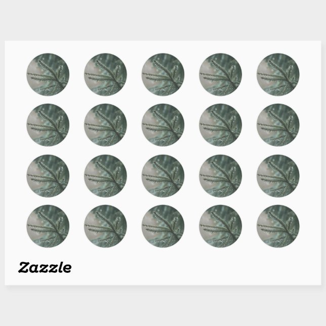 Sticker Rond Épicéa vert de près, esthétique de Noël (Feuille)
