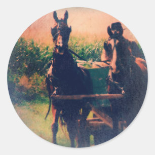 Sticker Rond Équipe d'Amish Horse
