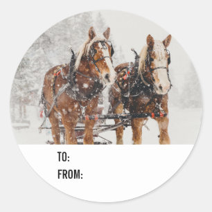 Sticker Rond Équipe de Belgique de cheval Wintery Christmas Sce