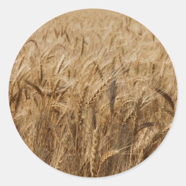 Sticker Rond Erick, Route 66 en Oklahoma (Devant)