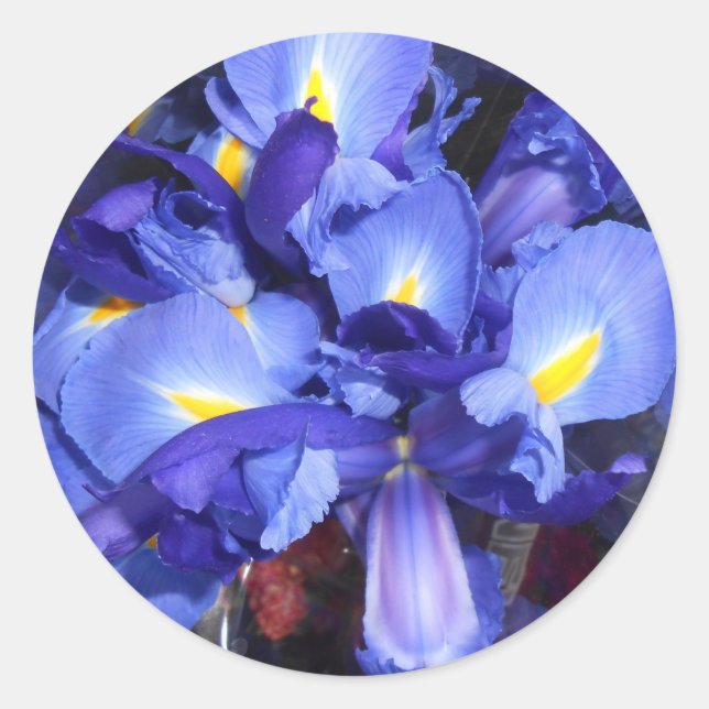 Sticker Rond Ermengarde (Devant)