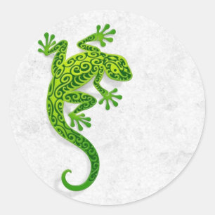 Sticker Rond Escalade Gecko vert sur un mur blanc