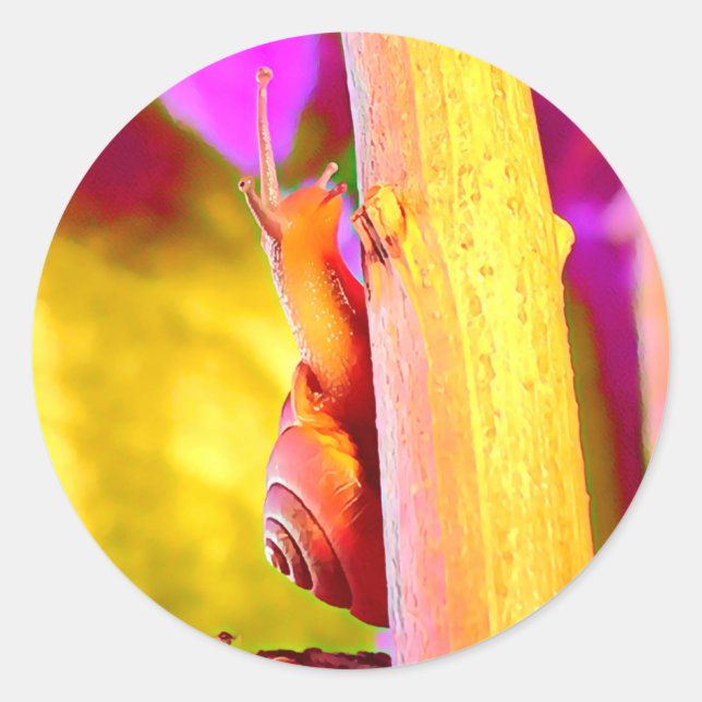 Sticker Rond Escargot (Devant)