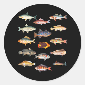 Sticker Rond Espèces De Poisson Biologie Types De Pêche En Eau 