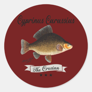 Sticker Rond Espèces de poissons Vintages de carpes cruciennes