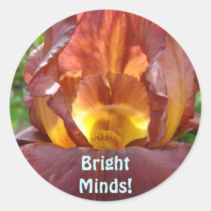 Sticker Rond Esprits brillants ! magnet Étudiants Fleurs Iris b