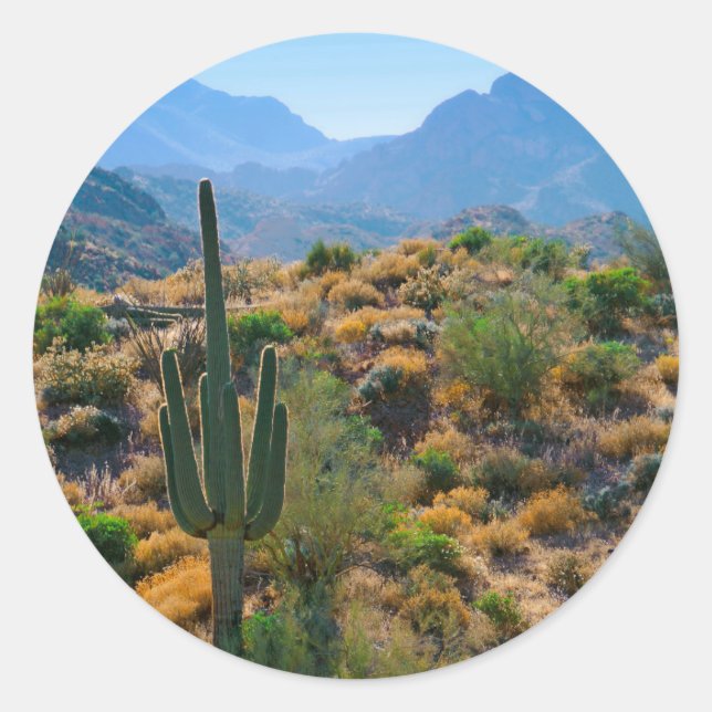 Sticker Rond États-Unis, Arizona. Desert View (Devant)