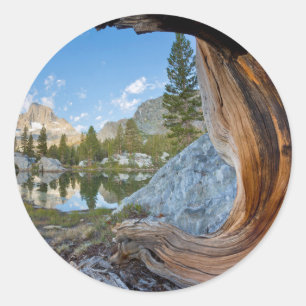 Sticker Rond États-Unis, Californie, forêt nationale d'Inyo. 