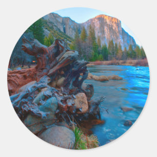 Sticker Rond États-Unis, Californie. Racines d'arbres dans la r