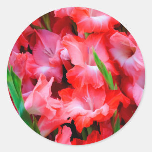 Sticker Rond États-Unis, Géorgie, Savannah, Bouquet de Glaïeuls