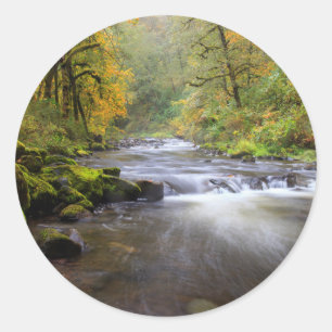 Sticker Rond États-Unis, Oregon, Gorge du Columbia, Tanner Cree