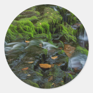 Sticker Rond États-Unis, Pennsylvanie, Benton, Ricketts Glen St