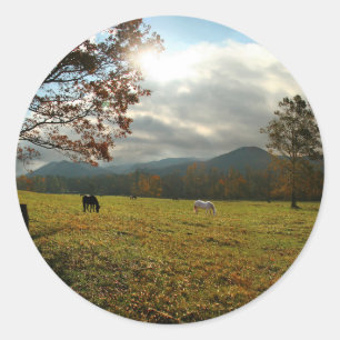 Sticker Rond États-Unis, Tennessee. Chevaux dans la vallée de C