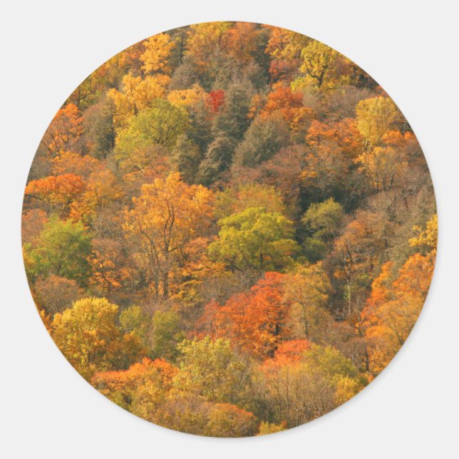 Sticker Rond États-Unis, Tennessee. Feuillage d'automne 2 (Devant)