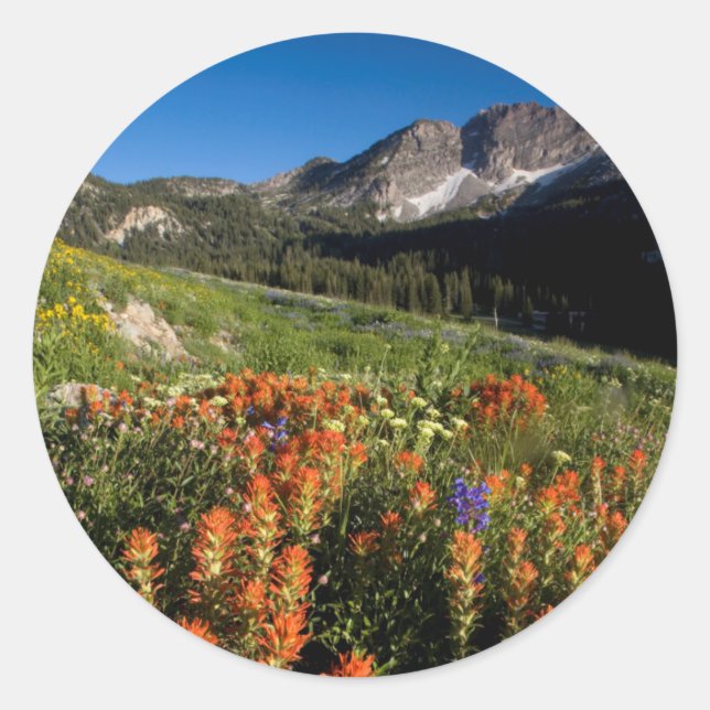 Sticker Rond États-Unis, Utah, forêt nationale d'Uinta-Wasatch- (Devant)