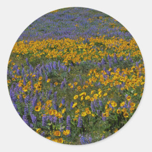 Sticker Rond États-Unis, Washington, Columbia River Gorge Natio