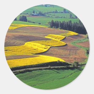 Sticker Rond États-Unis, Washington, Palouse, comté de Whitman
