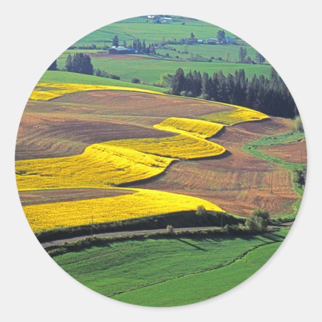 Sticker Rond États-Unis, Washington, Palouse, comté de Whitman  (Devant)
