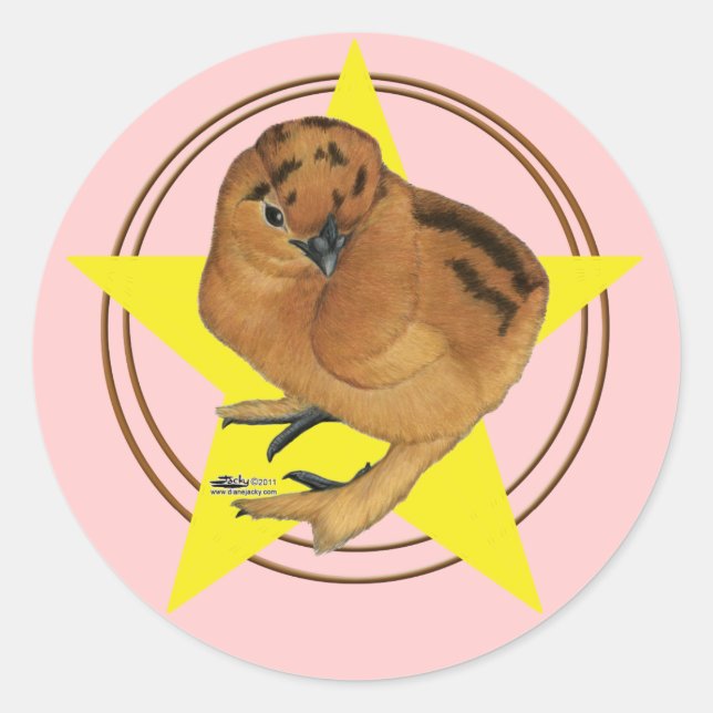 Sticker Rond Étoile de poussin rouge Silkie (Devant)