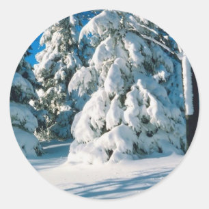 Sticker Rond Evergreens couverts de neige