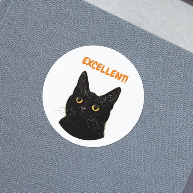 Sticker Rond Excellent mignon encouragement enseignant chat vin (Créateur téléchargé)
